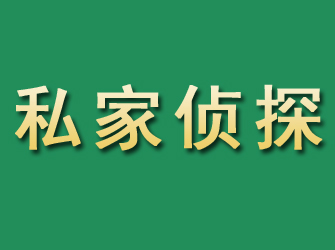 南溪市私家正规侦探