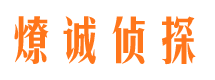 南溪调查公司